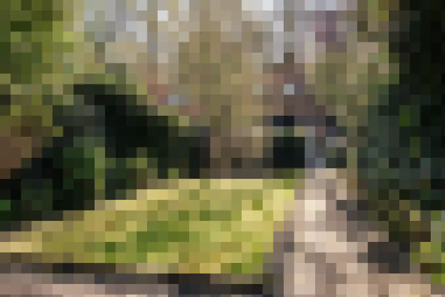 Noolseweg 9 Blaricum thumbnail 30