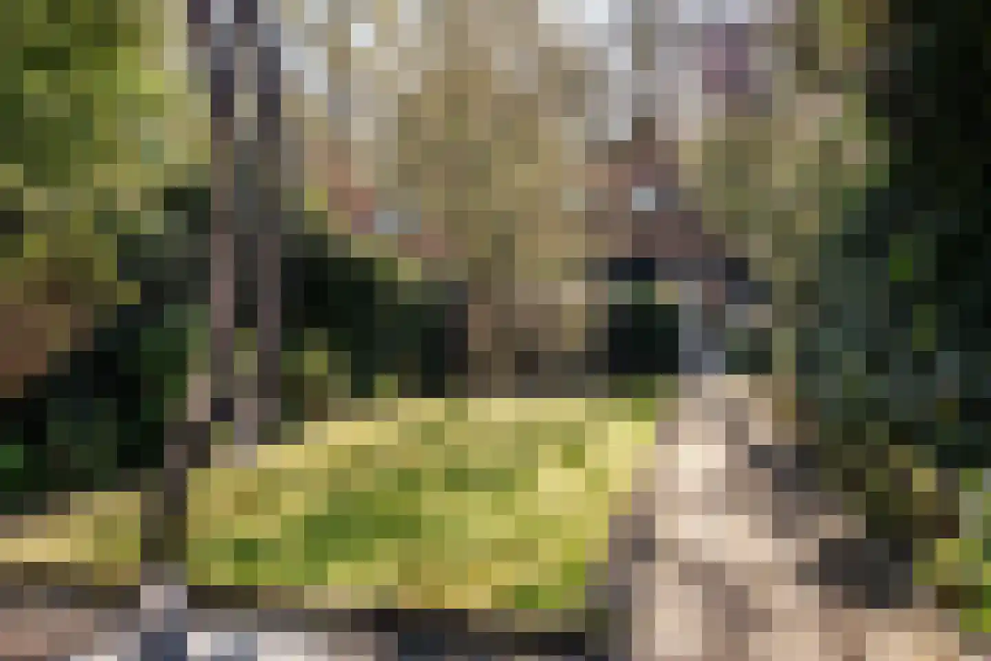 Noolseweg 9 Blaricum thumbnail 41