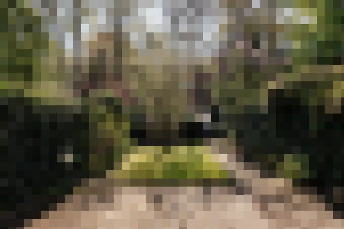 Noolseweg 9 Blaricum thumbnail 44