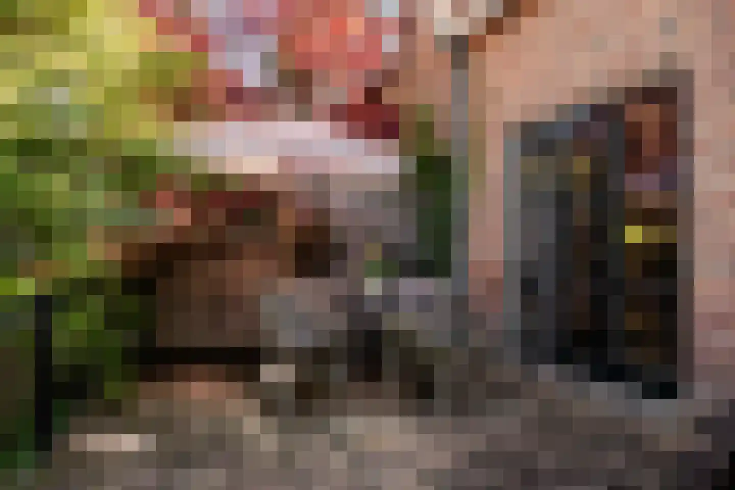 Noolseweg 9 Blaricum thumbnail 46