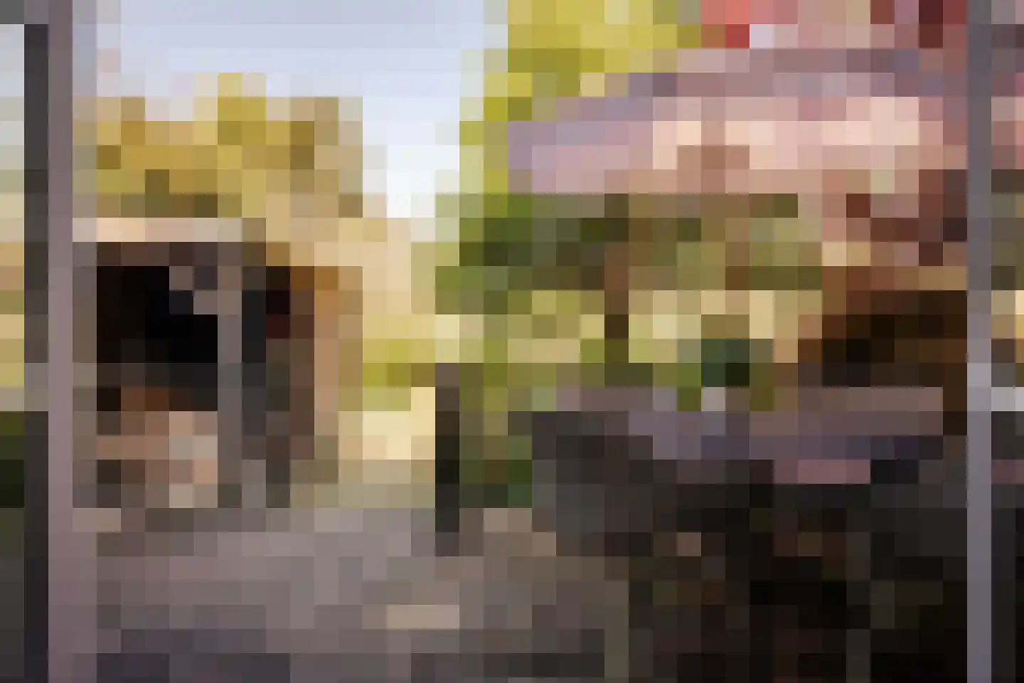 Noolseweg 9 Blaricum thumbnail 48