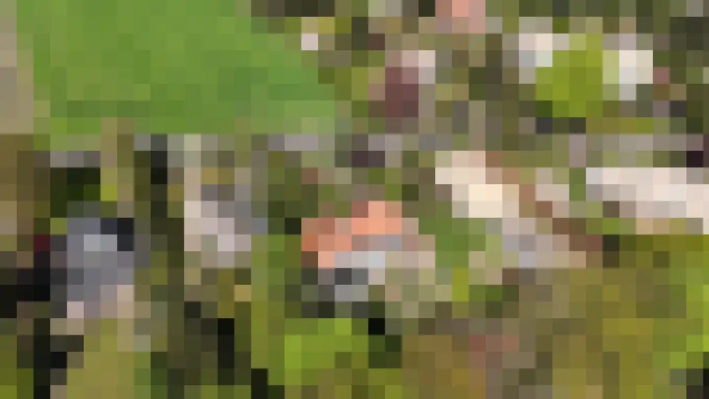 Noolseweg 9 Blaricum thumbnail 55