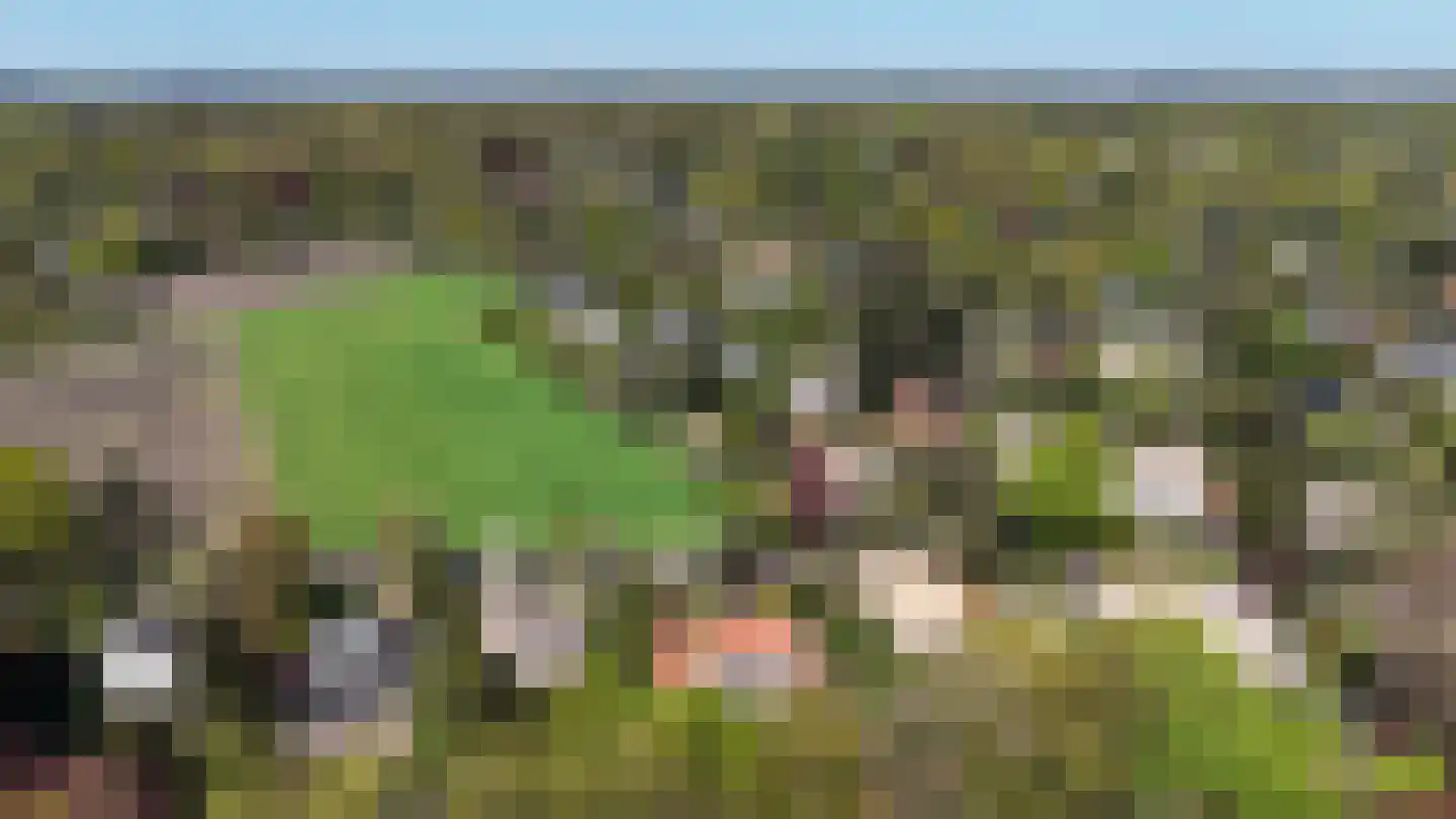 Noolseweg 9 Blaricum thumbnail 57