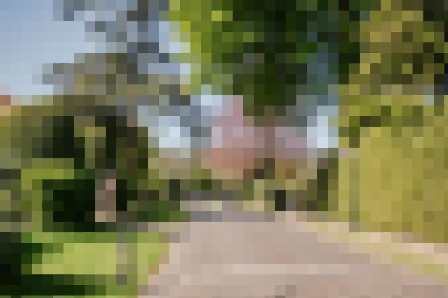Noolseweg 9 Blaricum thumbnail 60