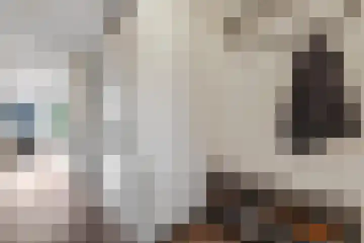 Noorburgerbos 6 Ede thumbnail 12