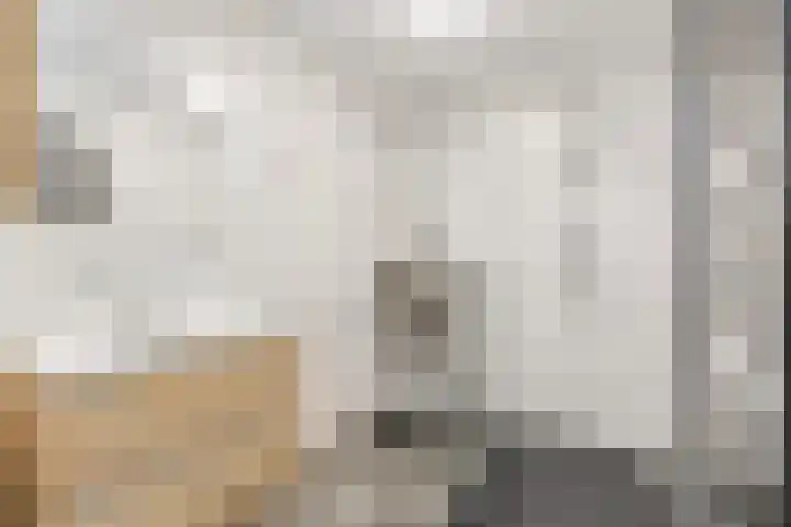Noorburgerbos 6 Ede thumbnail 22