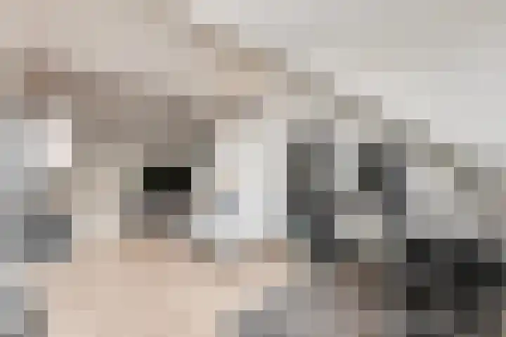 Noorburgerbos 6 Ede thumbnail 25