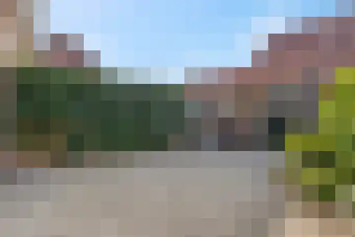 Noorburgerbos 6 Ede thumbnail 31