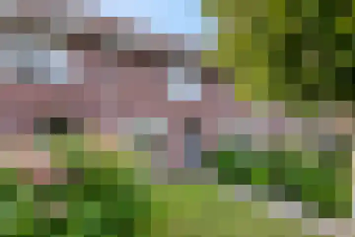 Noorburgerbos 6 Ede thumbnail 35