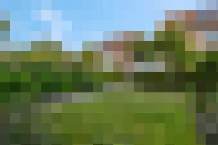 Noorburgerbos 6 Ede thumbnail 36