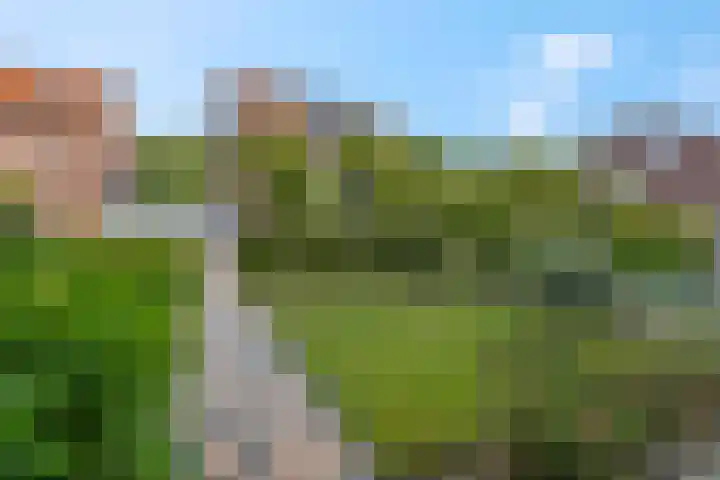 Noorburgerbos 6 Ede thumbnail 37