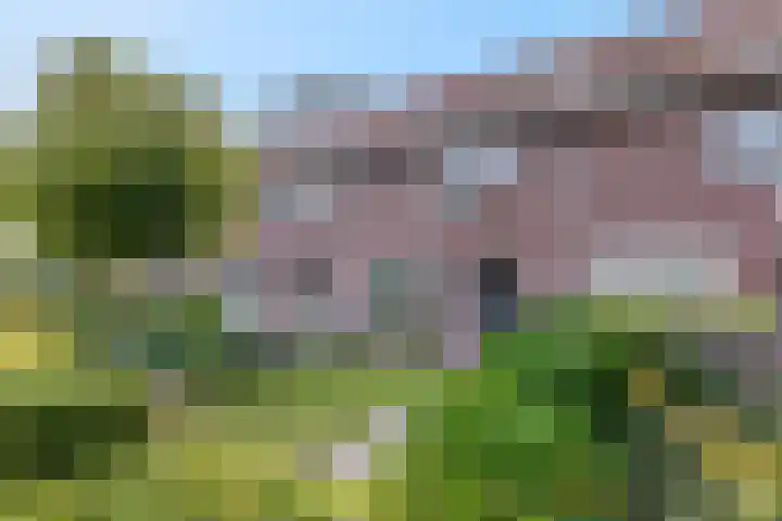 Noorburgerbos 6 Ede thumbnail 38