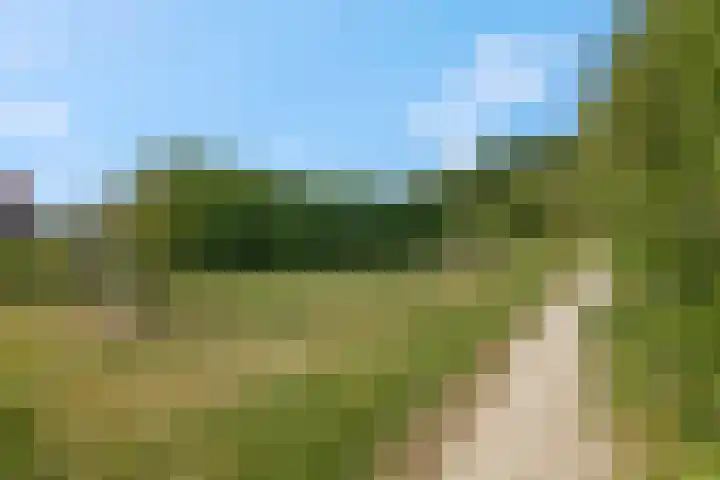 Noorburgerbos 6 Ede thumbnail 47