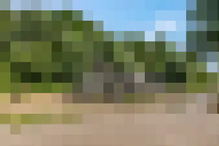Noorburgerbos 6 Ede thumbnail 48