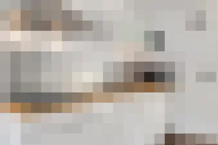 Noorburgerbos 6 Ede thumbnail 7