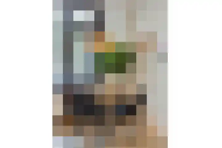 Noord 1 Apeldoorn thumbnail 13