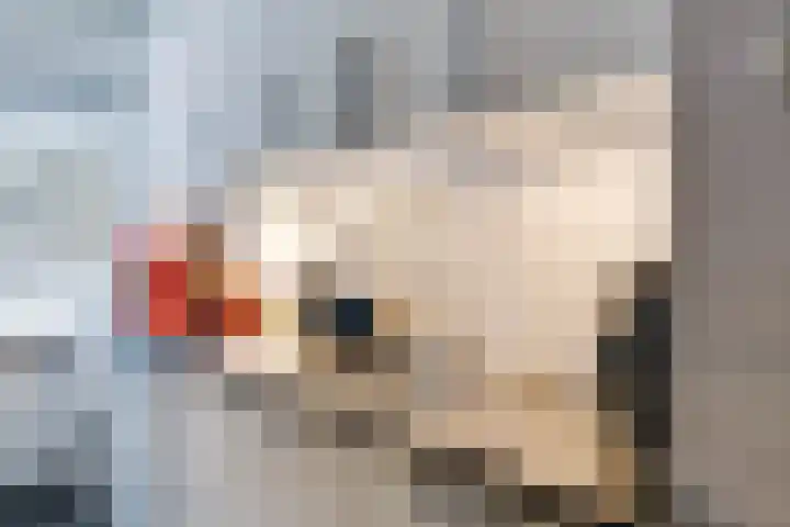 Noord 1 Apeldoorn thumbnail 17