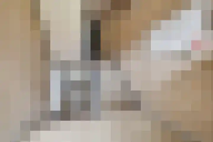 Noord 1 Apeldoorn thumbnail 31