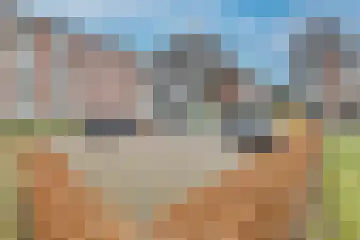 Noord 1 Apeldoorn thumbnail 39