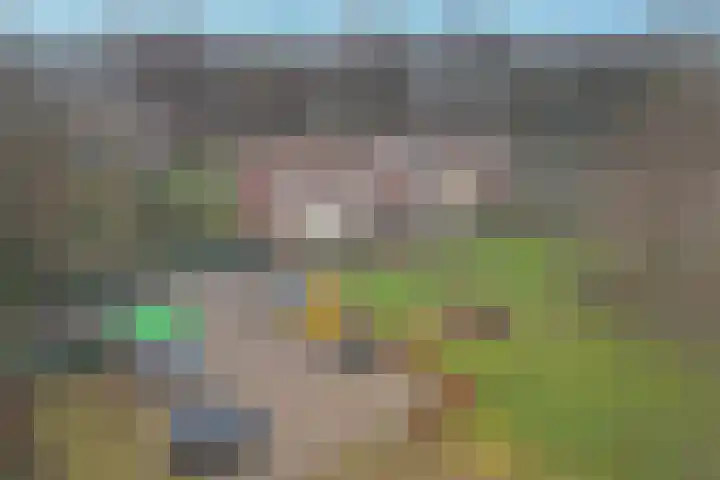 Noord 1 Apeldoorn thumbnail 41