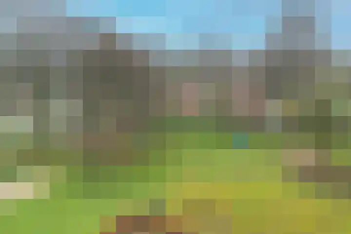 Noord 1 Apeldoorn thumbnail 43