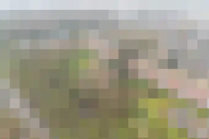 Noord 1 Apeldoorn thumbnail 44