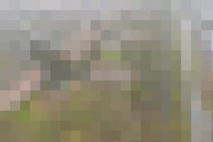 Noord 1 Apeldoorn thumbnail 45