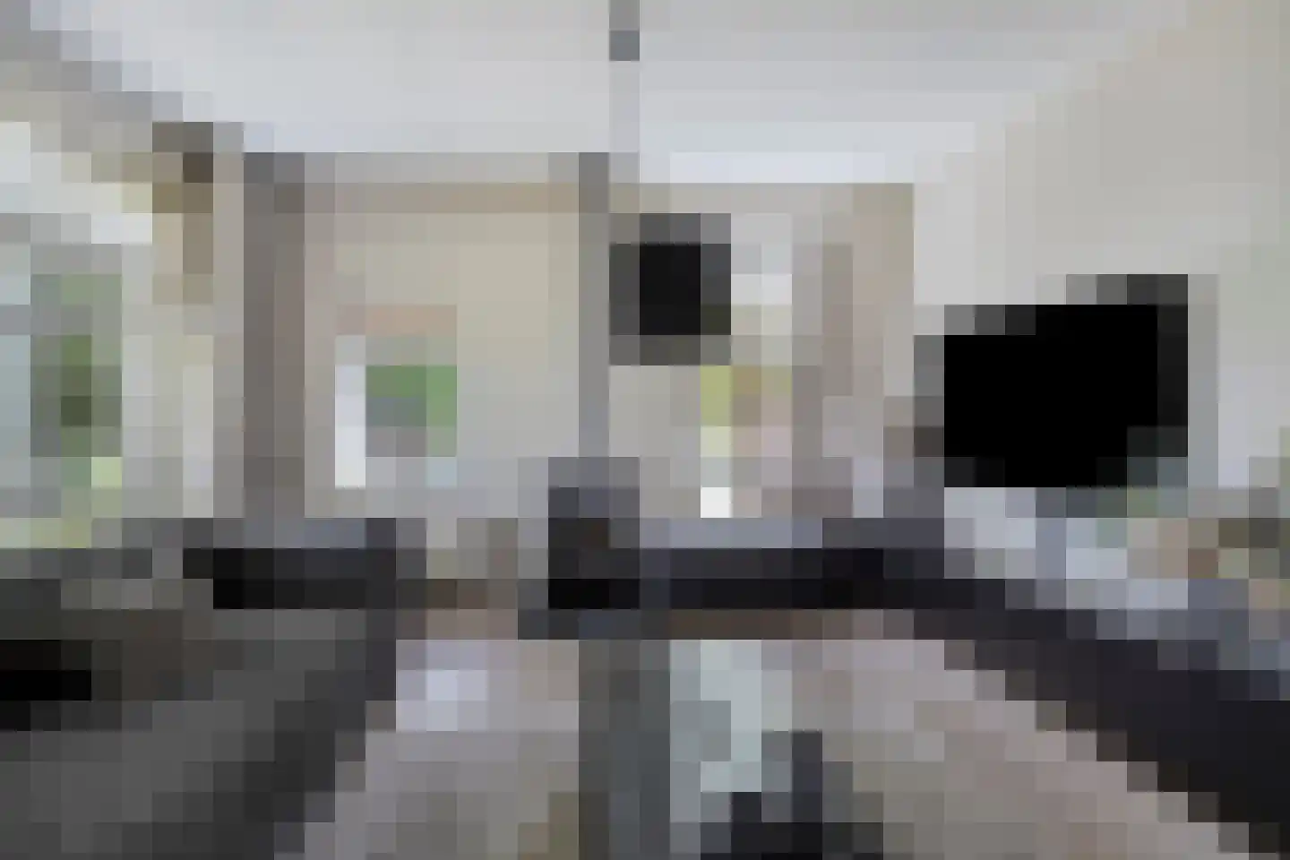 Noord 1 Elsloo thumbnail 15