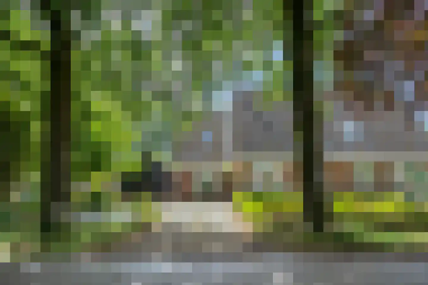 Noord 1 Elsloo foto 2