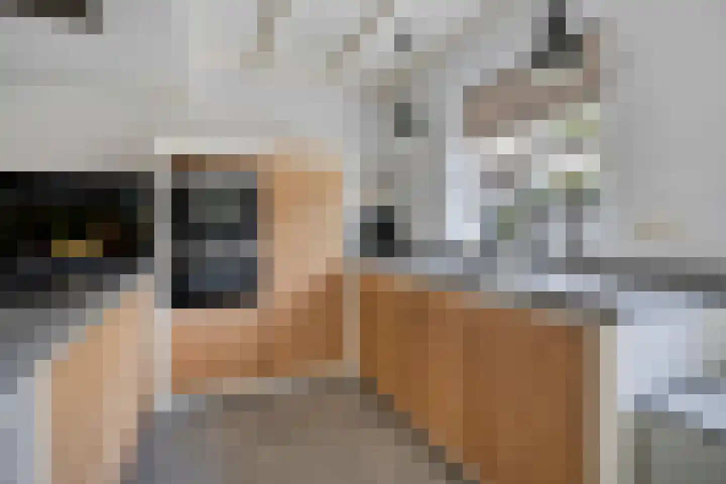 Noord 1 Elsloo thumbnail 24