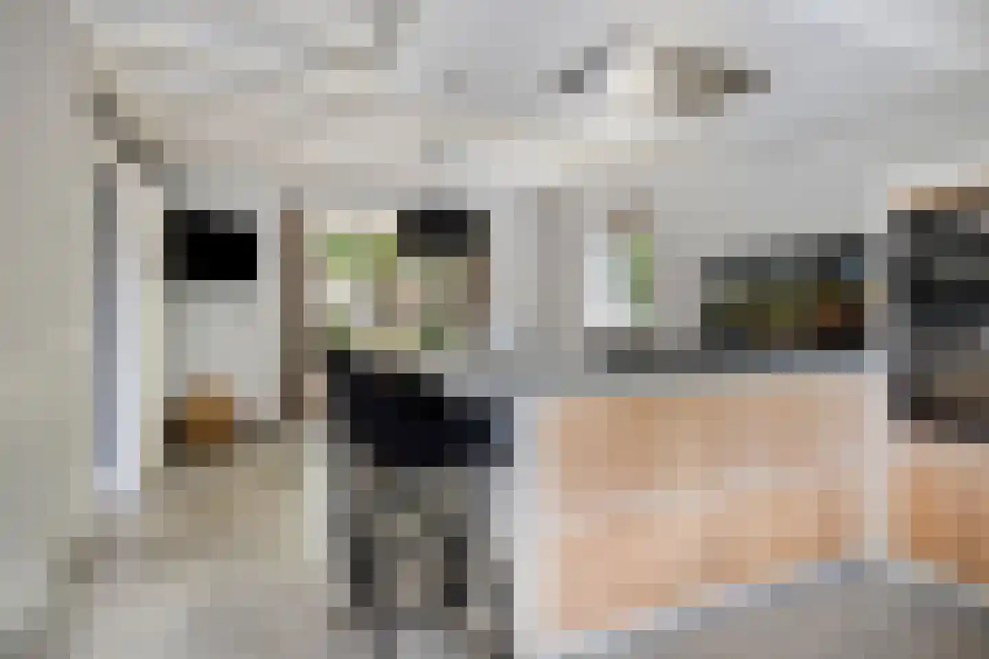 Noord 1 Elsloo thumbnail 25