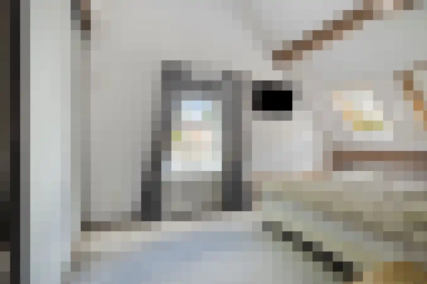 Noord 1 Elsloo thumbnail 32
