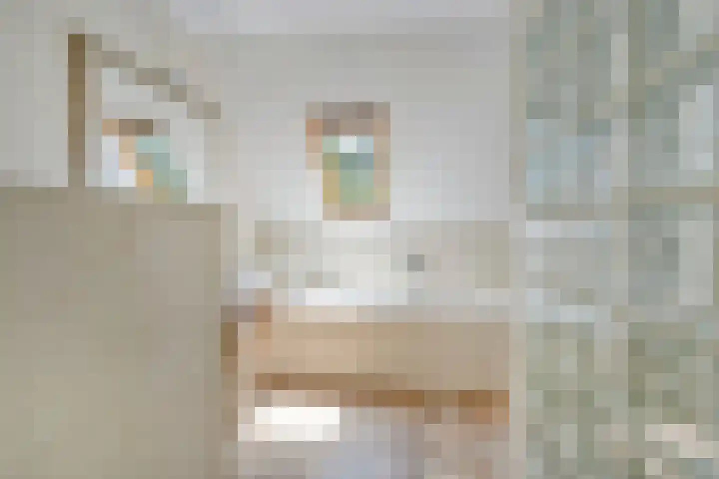 Noord 1 Elsloo thumbnail 35