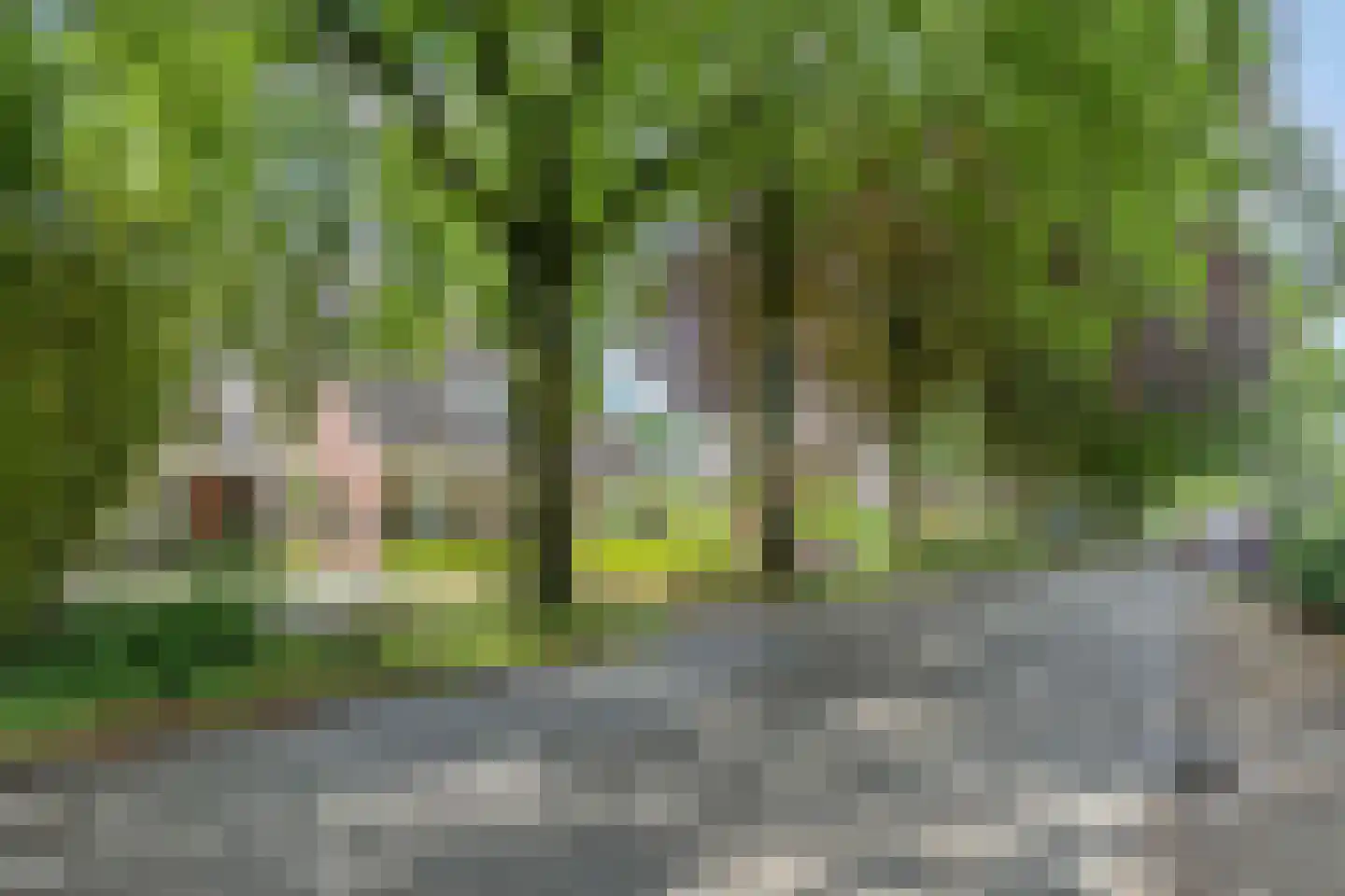 Noord 1 Elsloo thumbnail 4