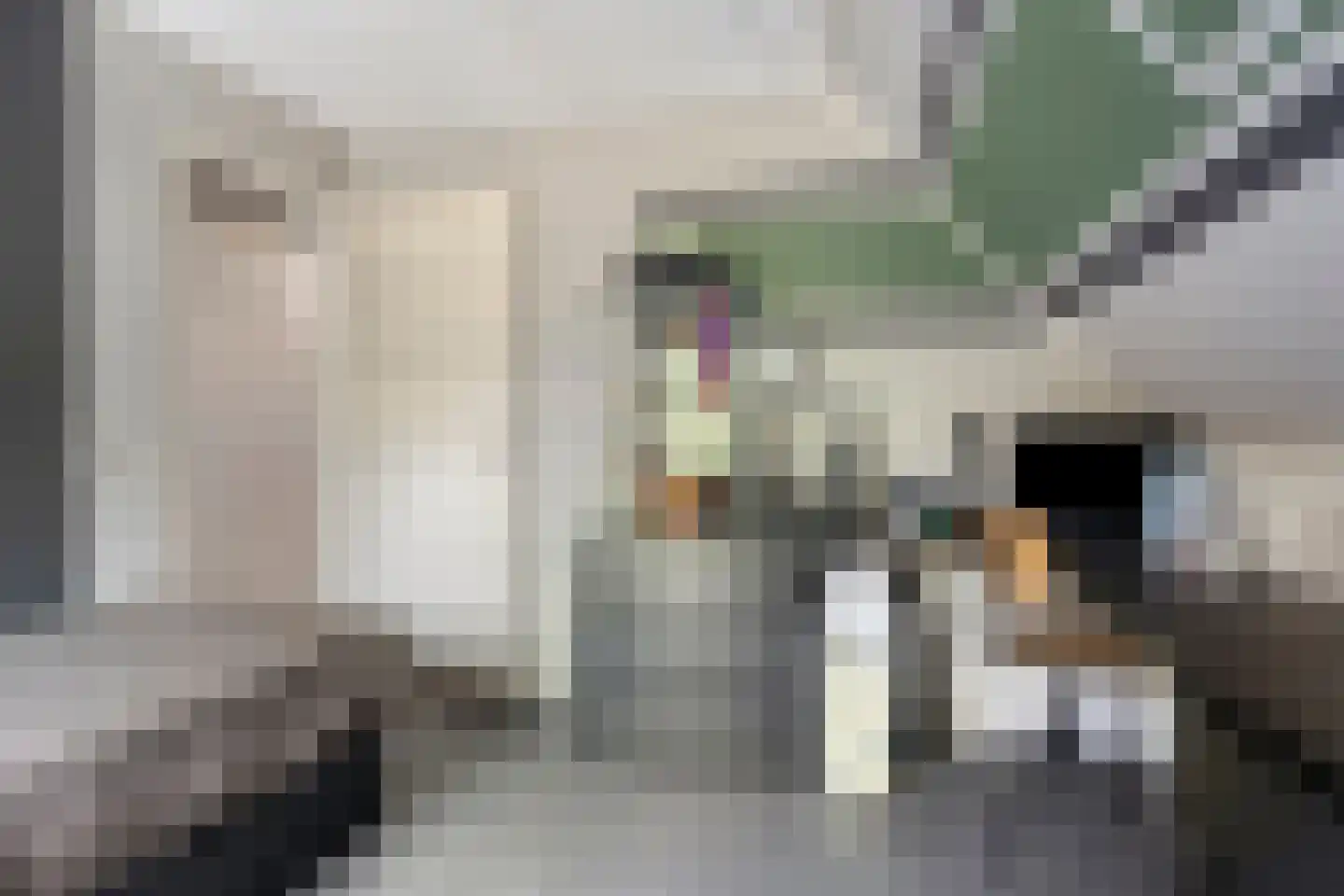 Noord 1 Elsloo thumbnail 43