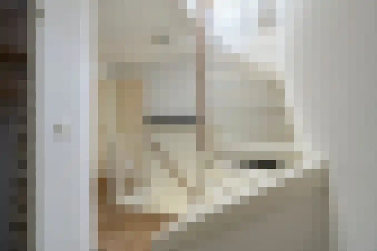Noord 1 Elsloo thumbnail 44