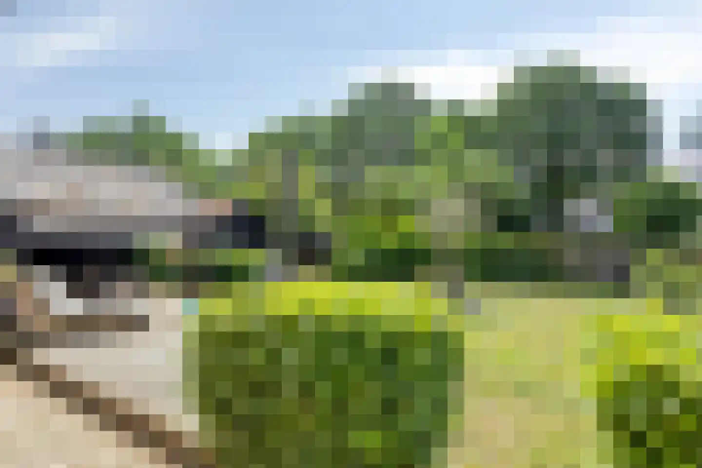 Noord 1 Elsloo thumbnail 47