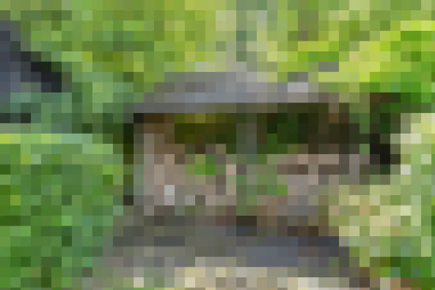 Noord 1 Elsloo thumbnail 54