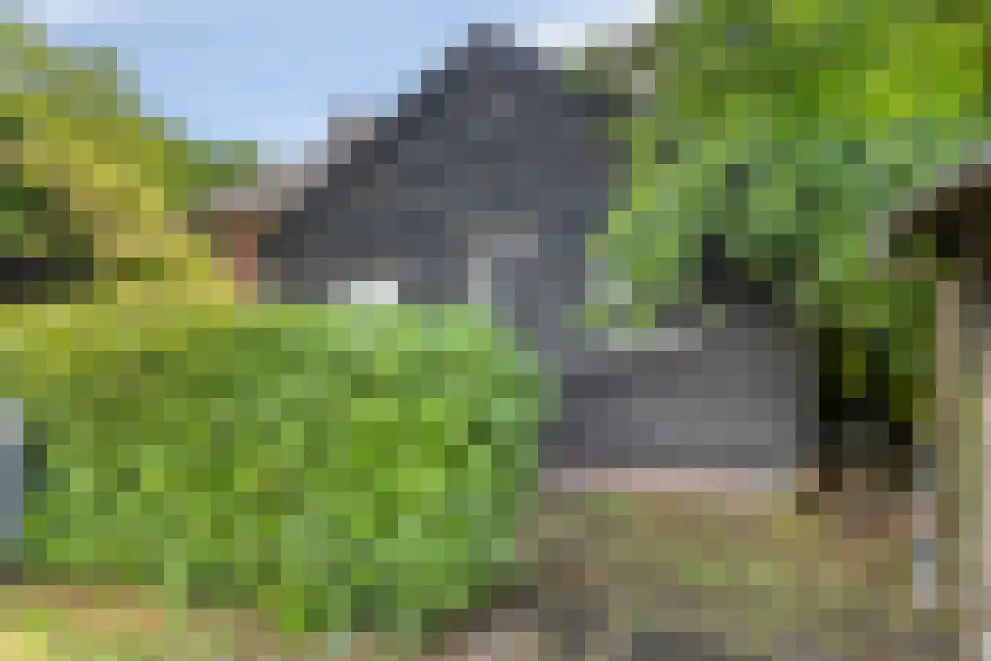 Noord 1 Elsloo thumbnail 56