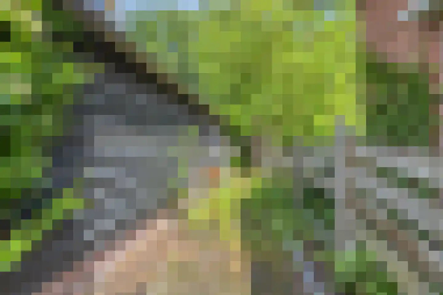 Noord 1 Elsloo thumbnail 58