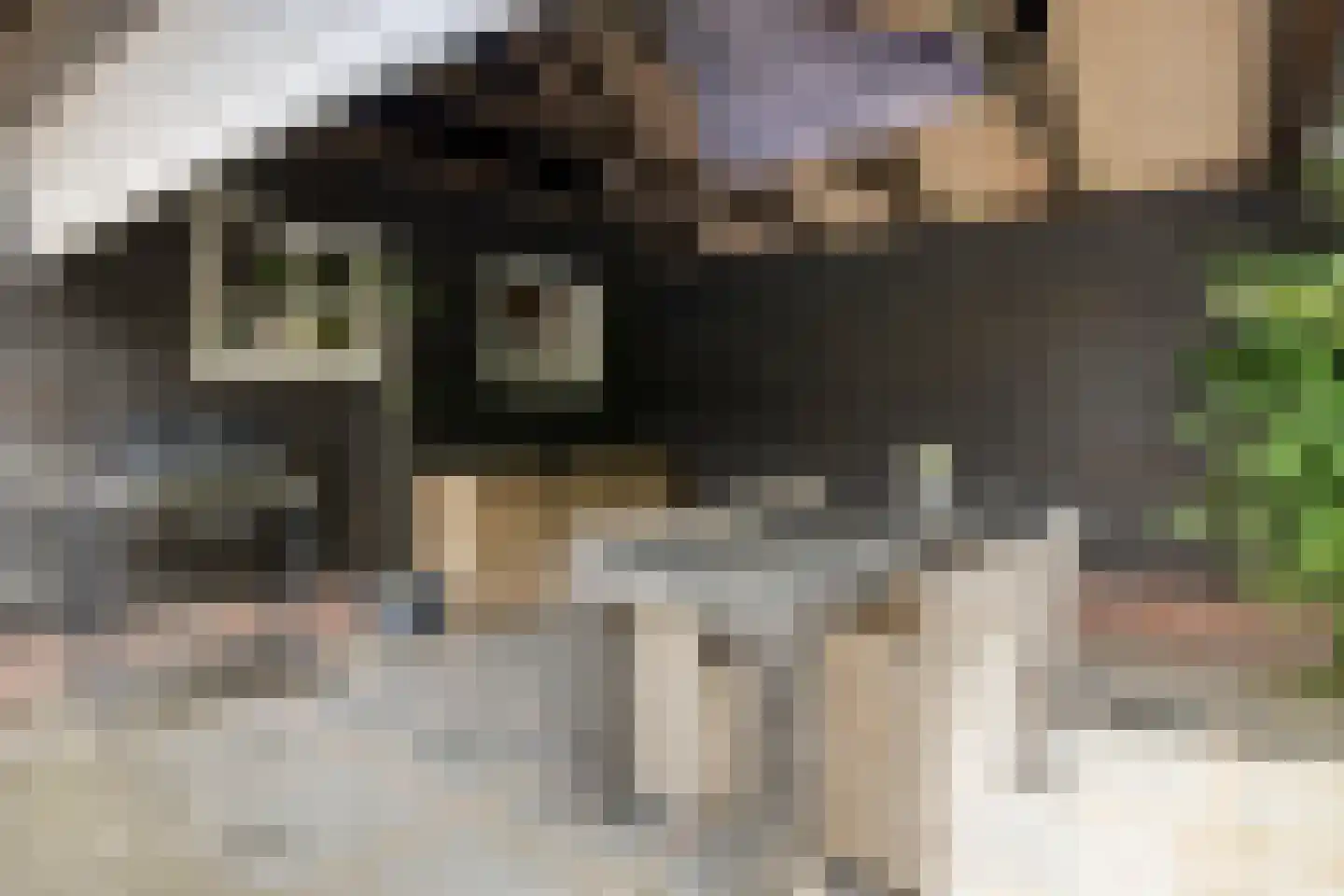 Noord 1 Elsloo thumbnail 62