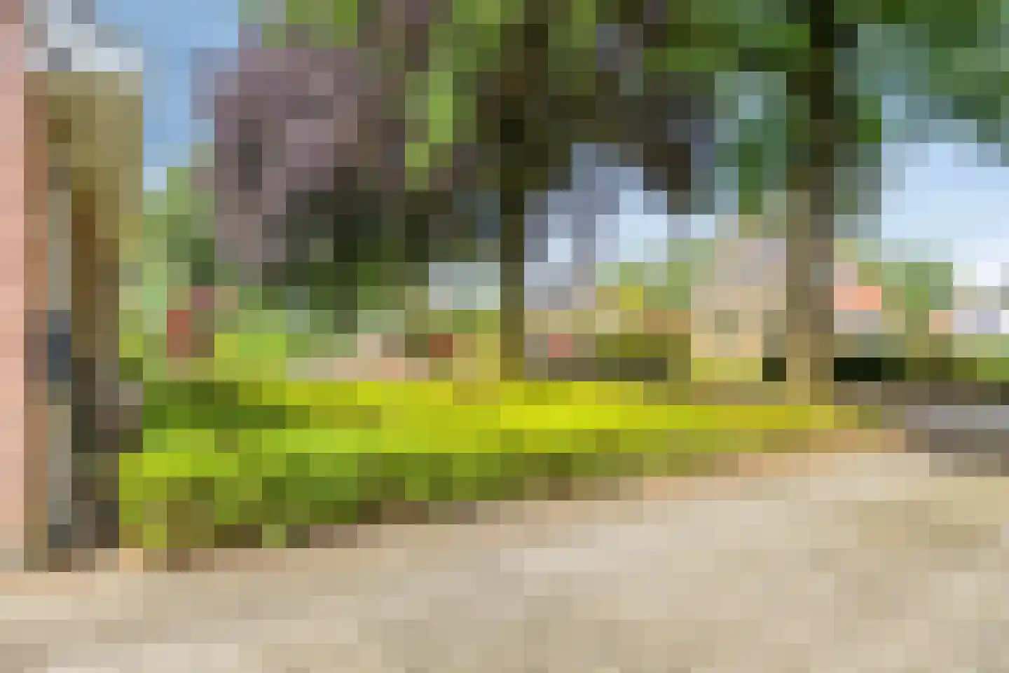Noord 1 Elsloo thumbnail 64