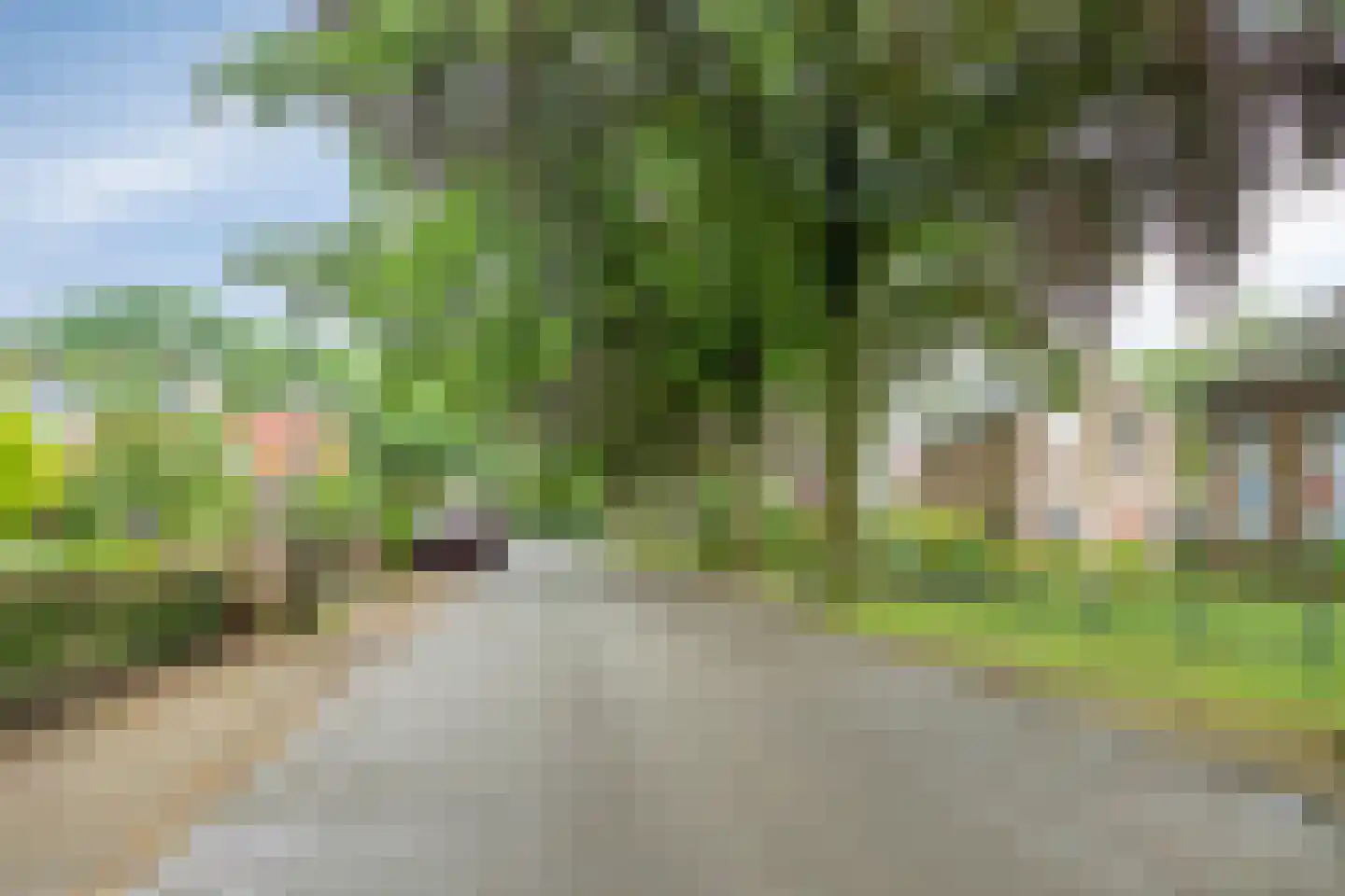 Noord 1 Elsloo thumbnail 65