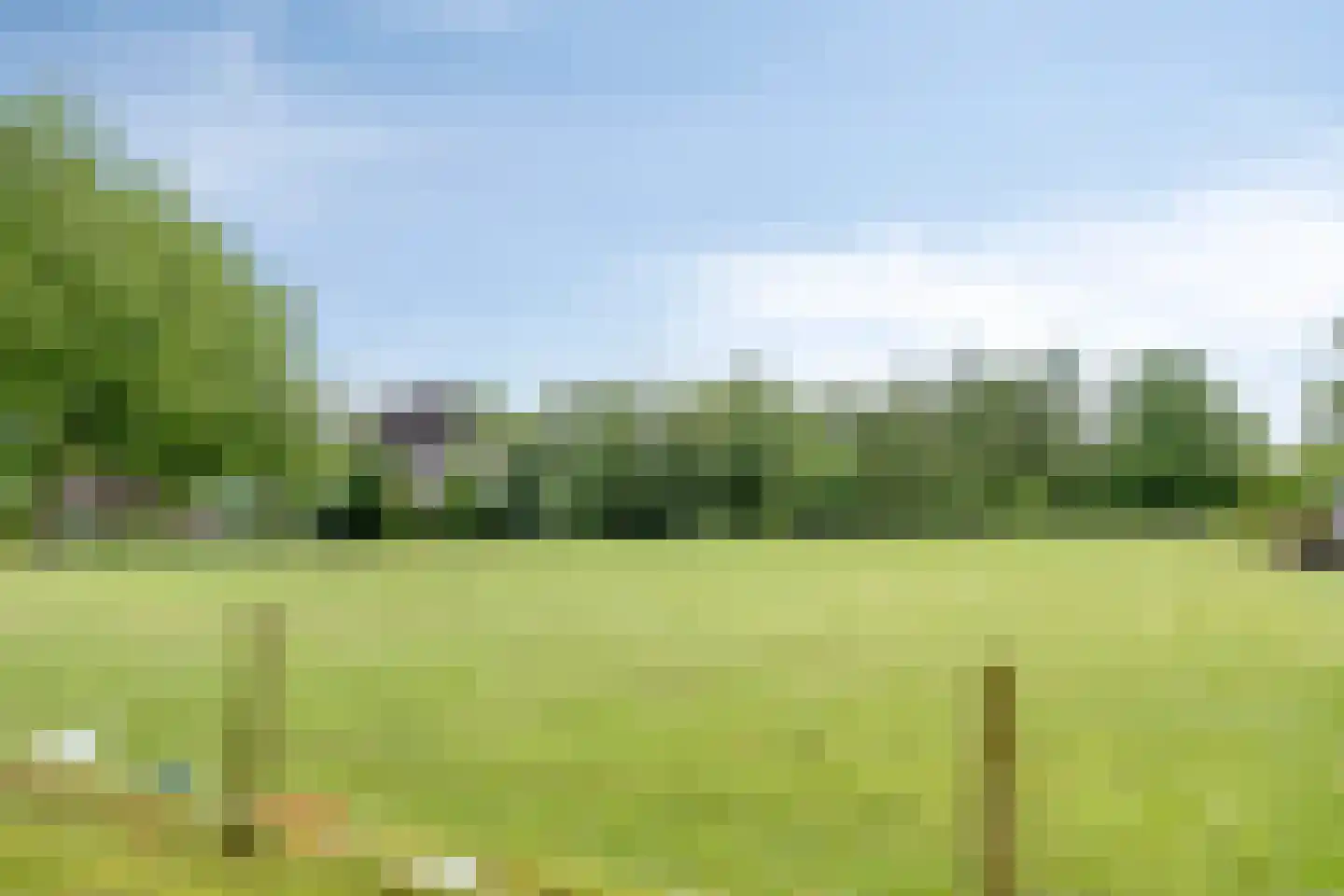 Noord 1 Elsloo thumbnail 66