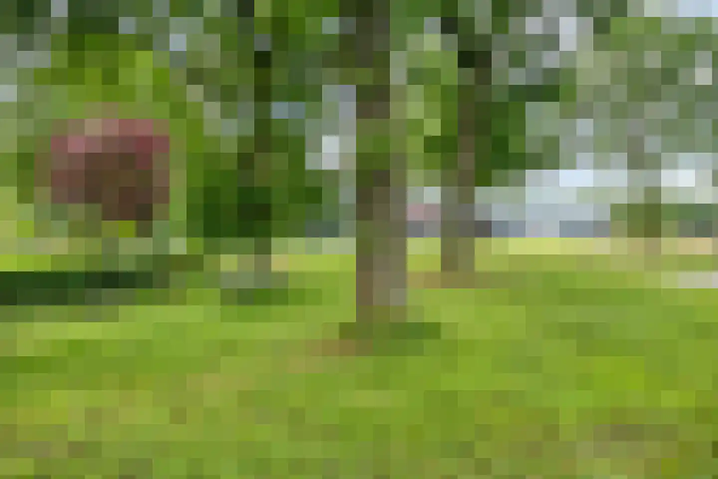 Noord 1 Elsloo thumbnail 68