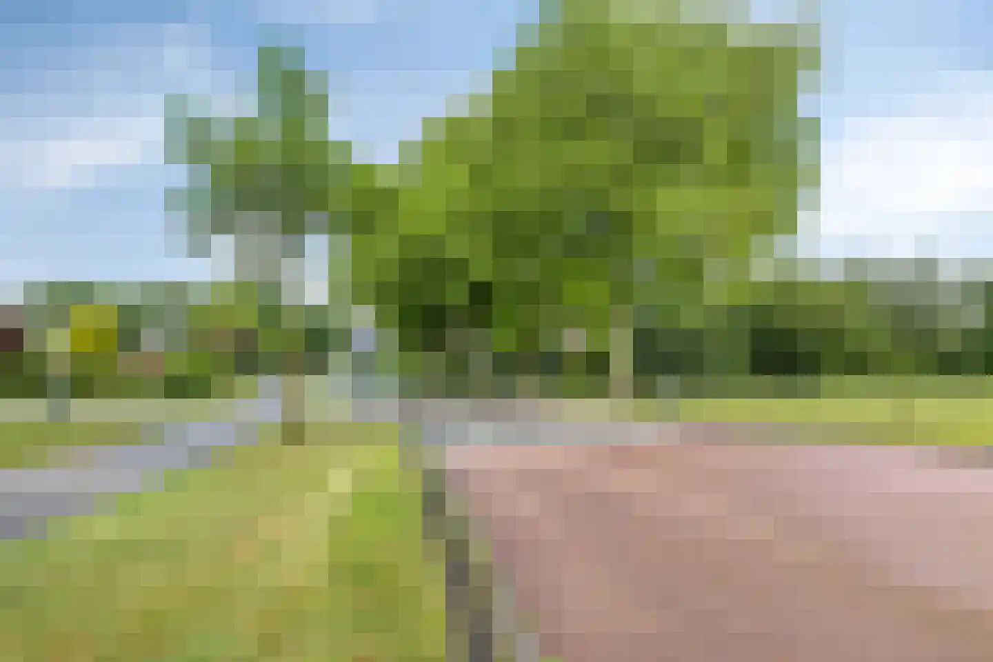 Noord 1 Elsloo thumbnail 69