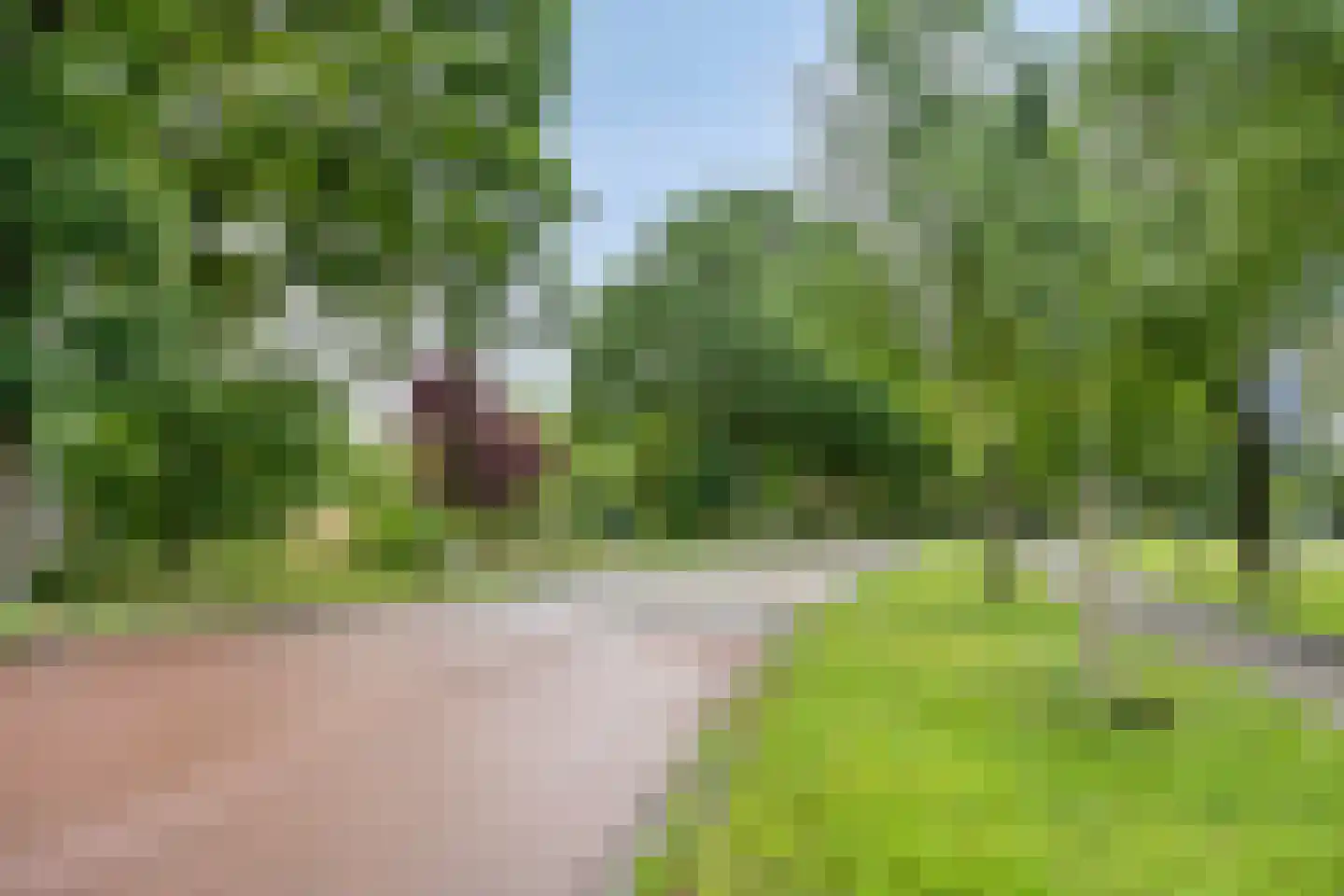 Noord 1 Elsloo thumbnail 70