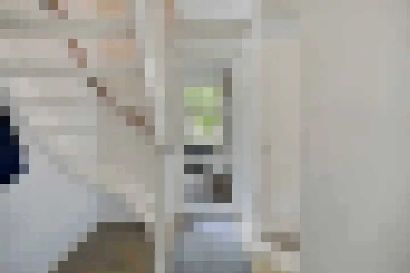 Noord 1 Elsloo thumbnail 8