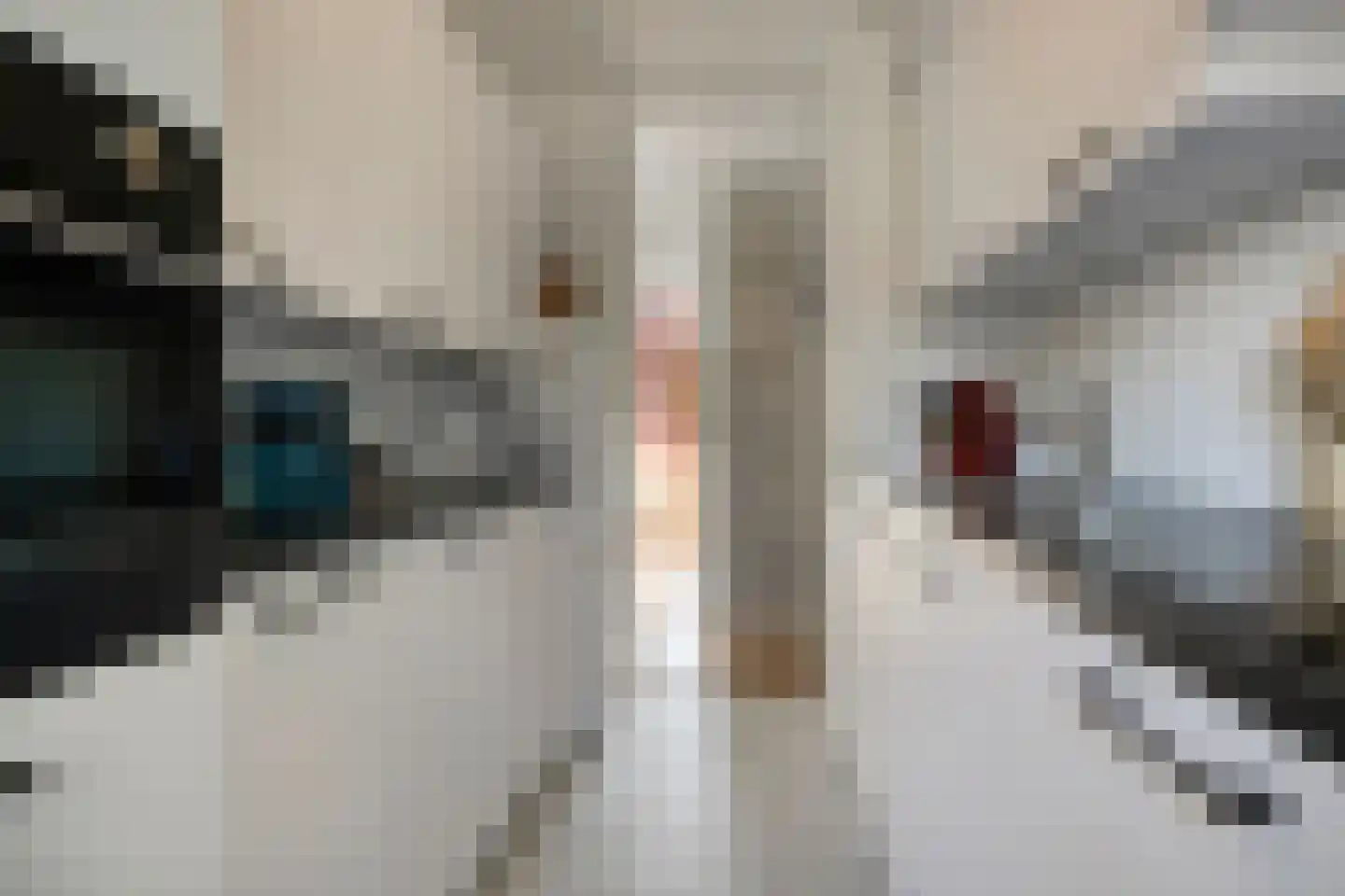 Noord 11 Apeldoorn thumbnail 11