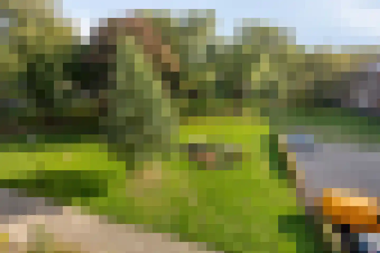 Noord 11 Apeldoorn thumbnail 19